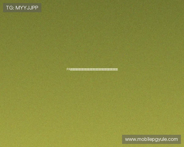 PA视讯是什么在世界杯期间如何为用户提供高清直播体验与赛事实时解说